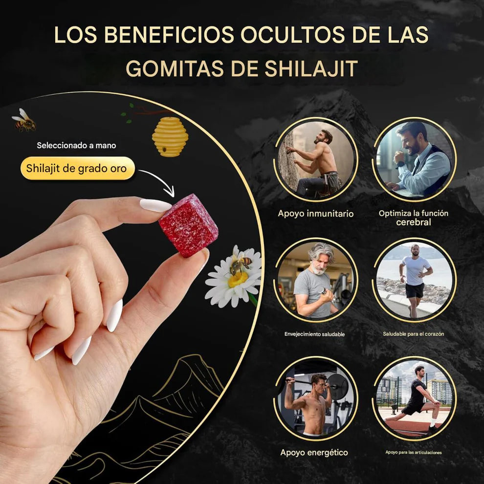 Gomas Premium Himalayan Shilajit - Fuerza, Vitalidad y Energía